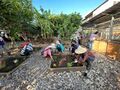 於 2024年6月5日 (三) 17:18 版本的縮圖